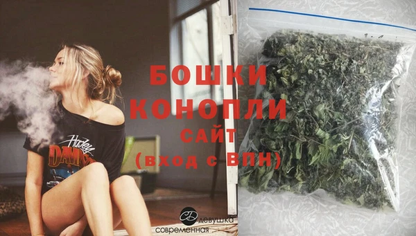 ешки Осинники
