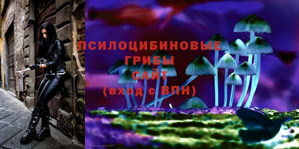 шишки Переславль-Залесский