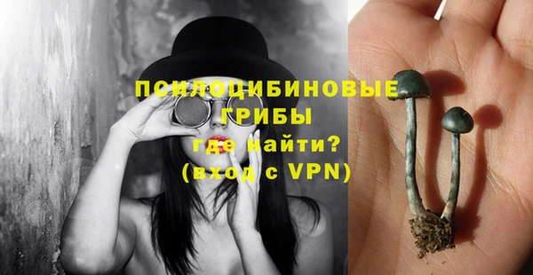 марки nbome Пересвет
