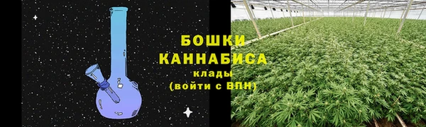 ешки Осинники