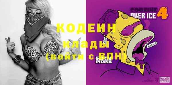 шишки Переславль-Залесский