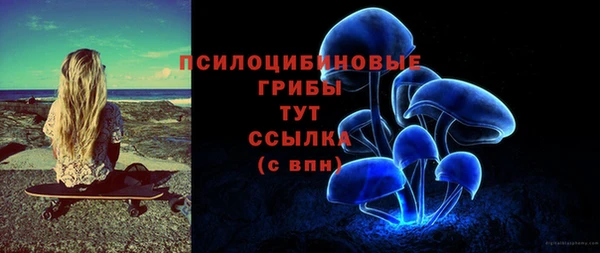 ешки Осинники