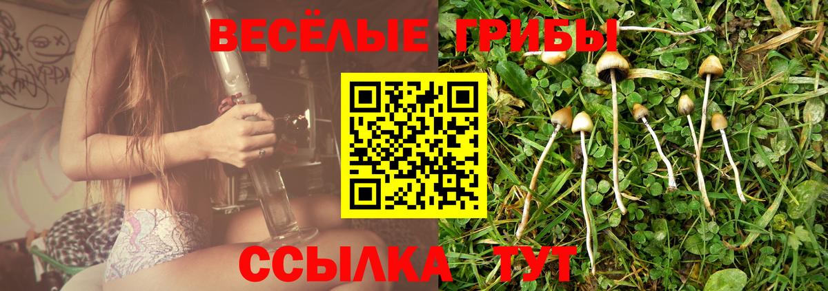 закладка  Лабинск  Галлюциногенные грибы MAGIC MUSHROOMS 