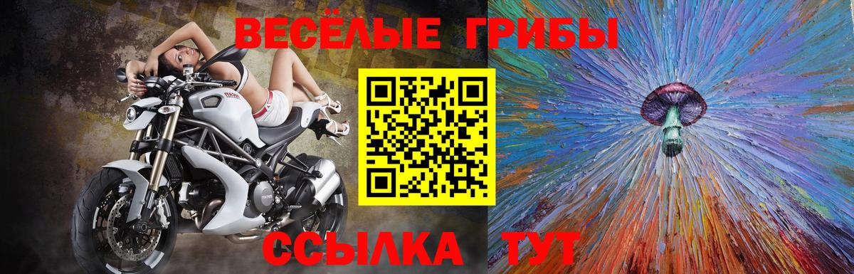 Галлюциногенные грибы GOLDEN TEACHER  Вход с VPN  Лабинск 