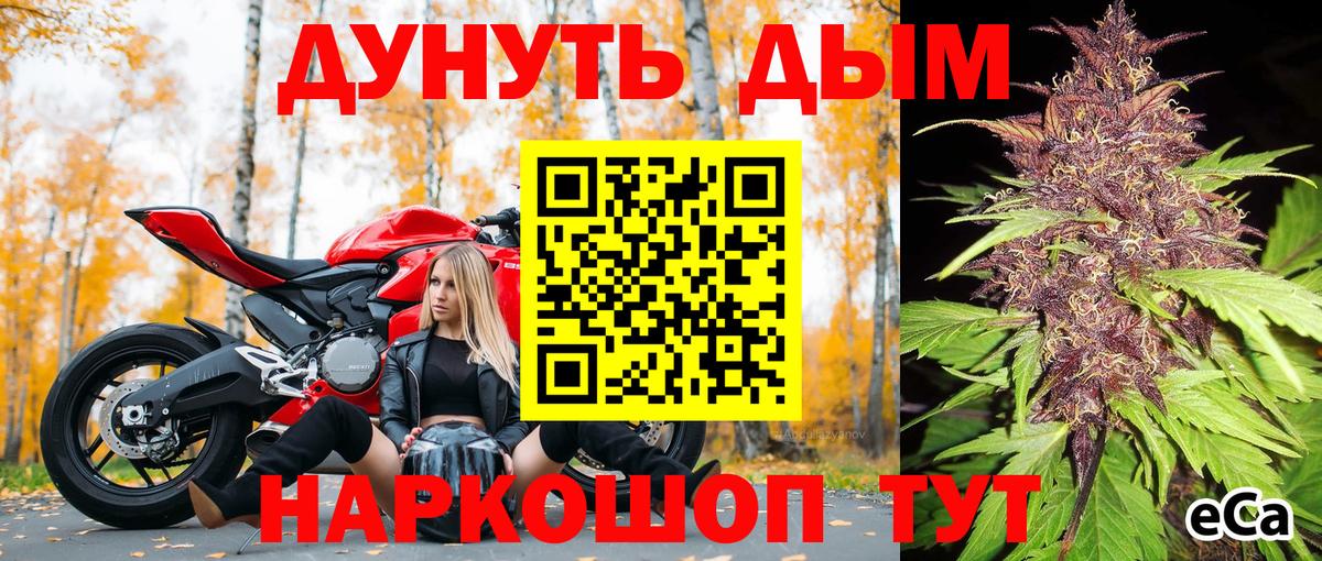 Канабис сатива Лабинск