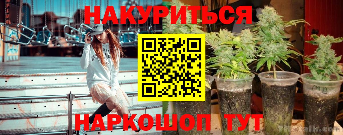 Каннабис тримм  Канабис план  Бошки Шишки SATIVA & INDICA  Лабинск 